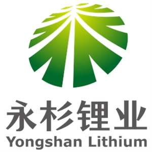 湖南永杉鋰業有限公司